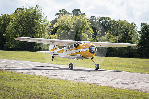 CNP_7212