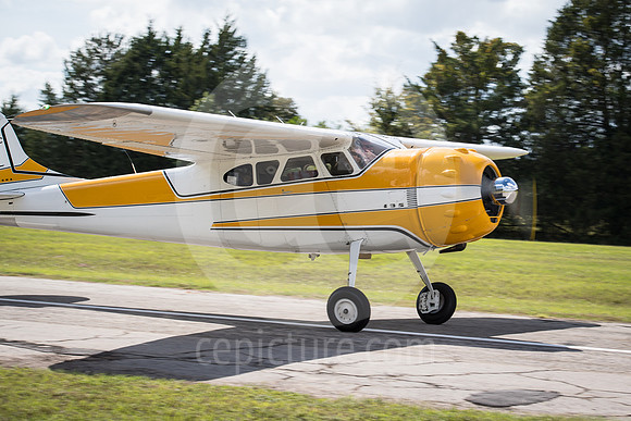 CNP_7214