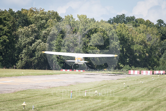 CNP_7225