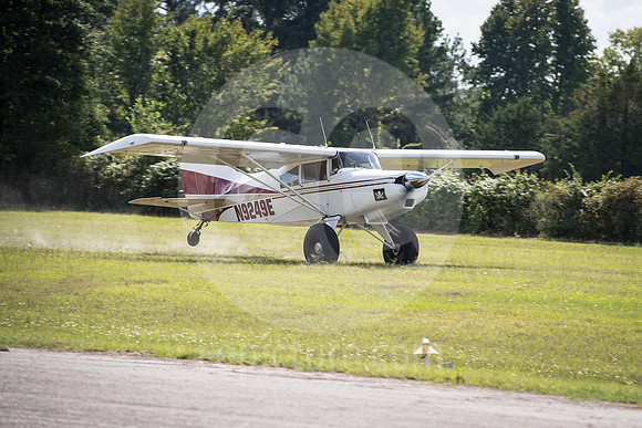 CNP_7236