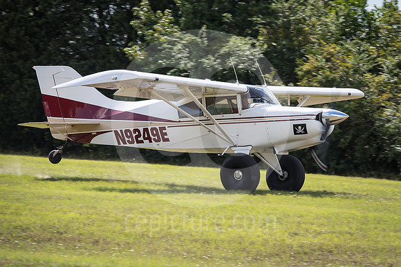 CNP_7239