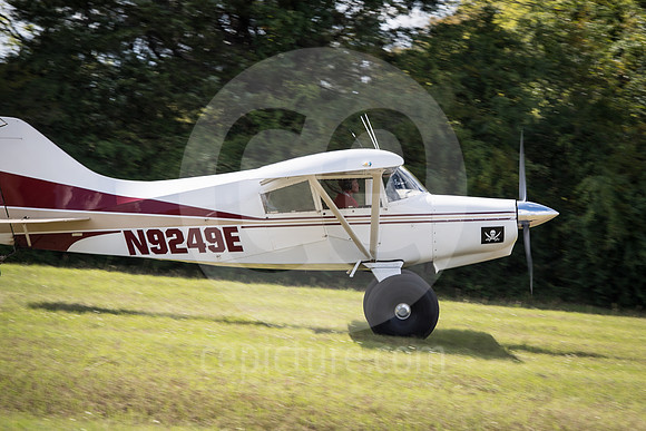 CNP_7241