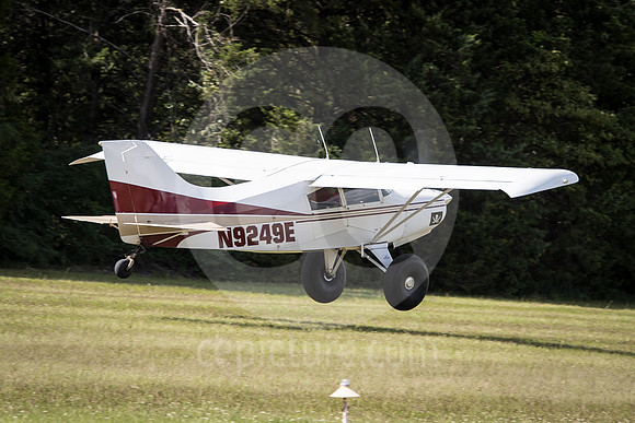 CNP_7245