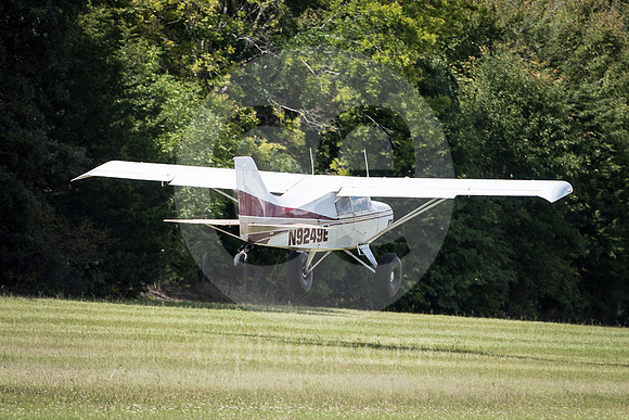 CNP_7247