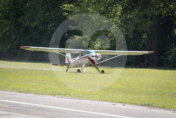 CNP_7286