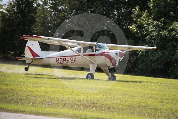 CNP_7292