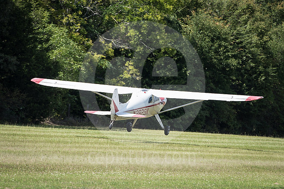 CNP_7297