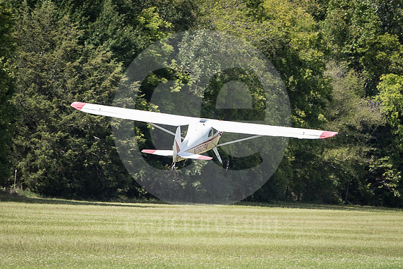 CNP_7299