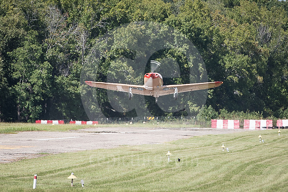 CNP_7311