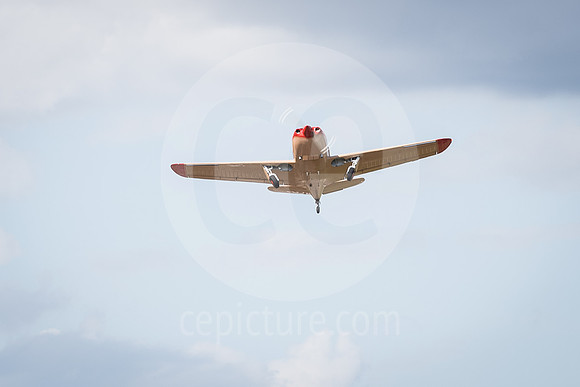 CNP_7315