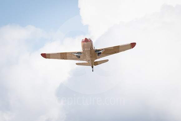 CNP_7317