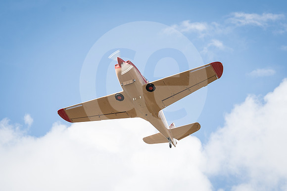 CNP_7324