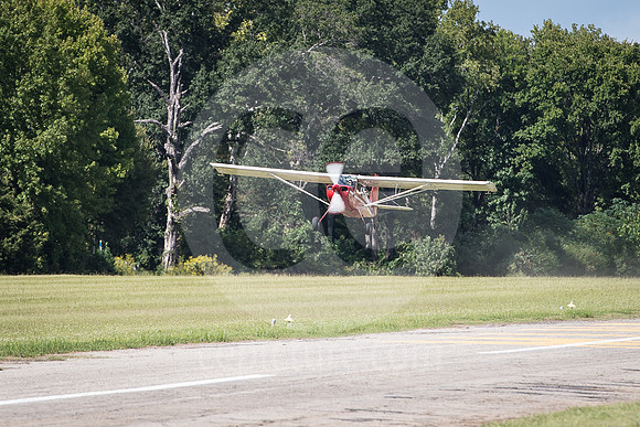 CNP_7336