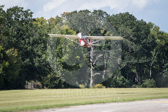 CNP_7338