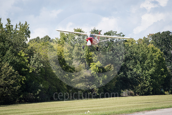 CNP_7340