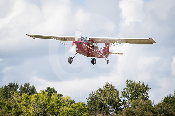 CNP_7346