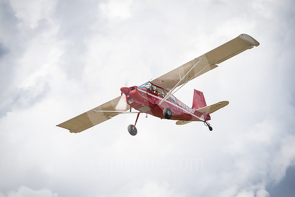 CNP_7347