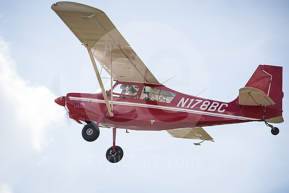 CNP_7356