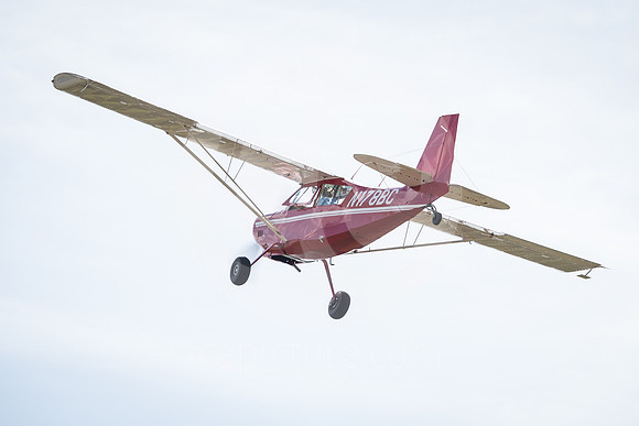 CNP_7360