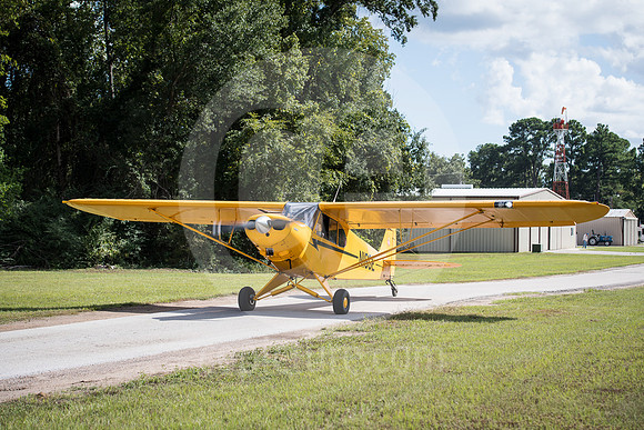 CNP_7373