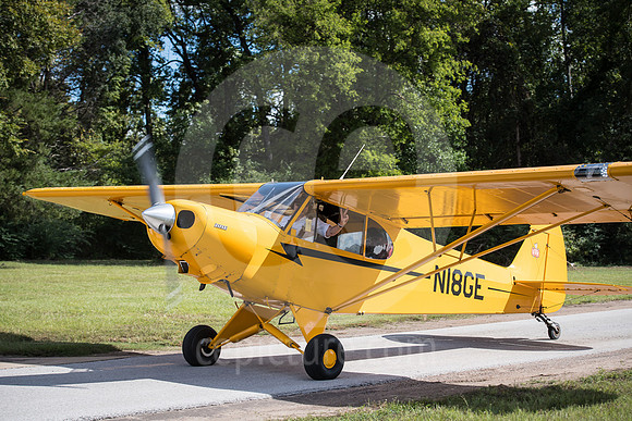 CNP_7377