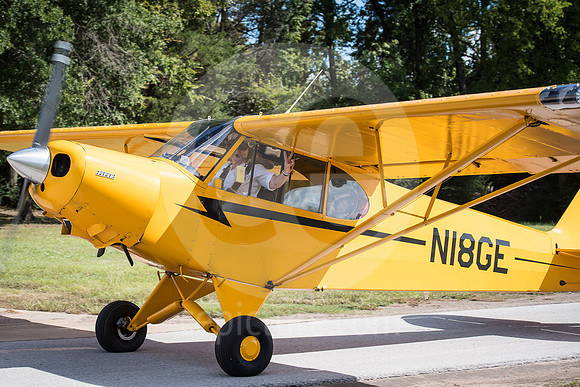 CNP_7378