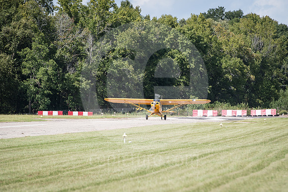 CNP_7383