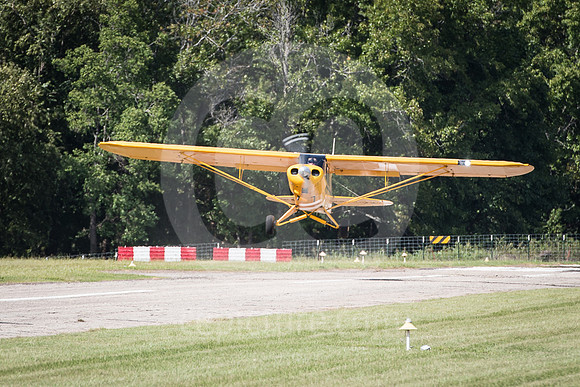 CNP_7385