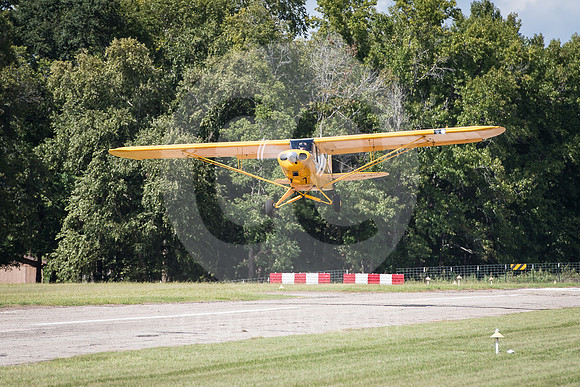 CNP_7387