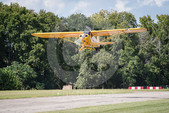 CNP_7389
