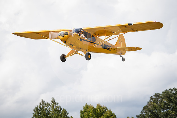 CNP_7396