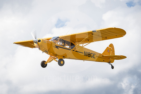 CNP_7398