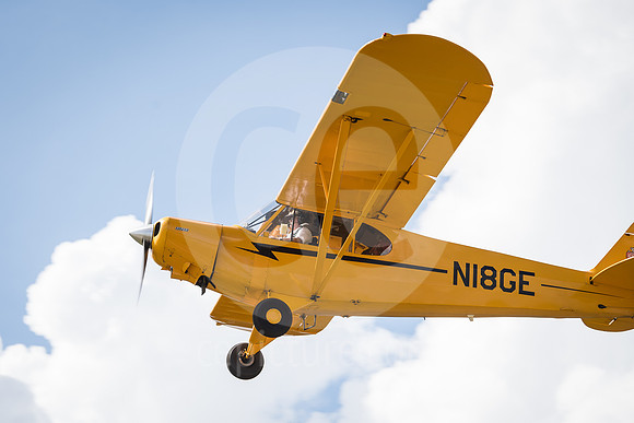 CNP_7401