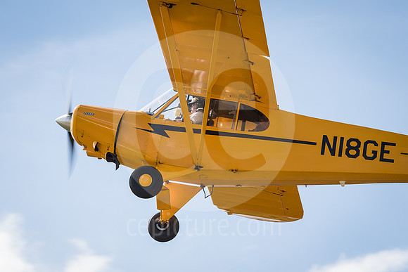 CNP_7405