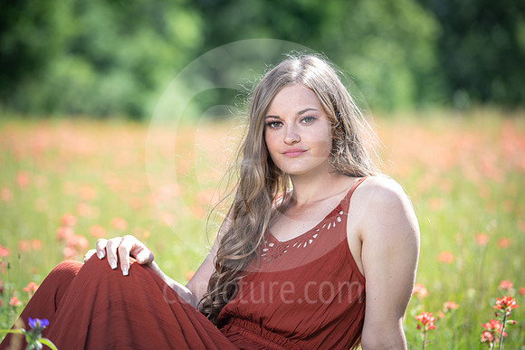 CNP_0794