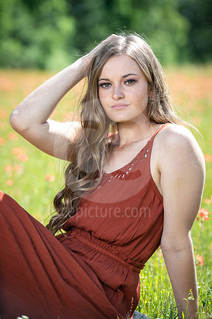 CNP_0797