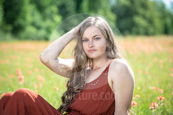 CNP_0798