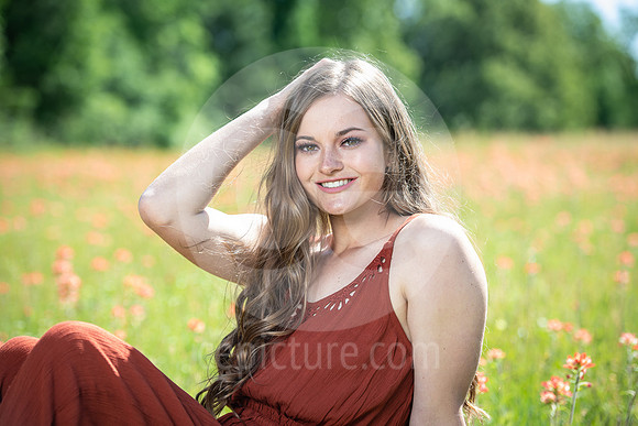 CNP_0799