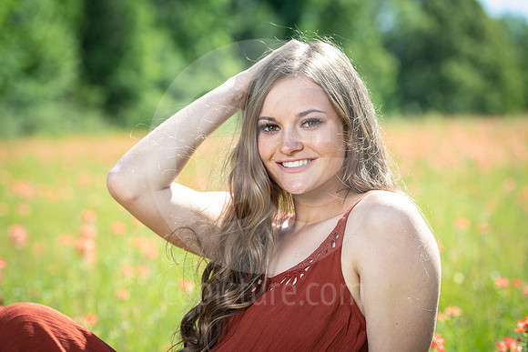 CNP_0803