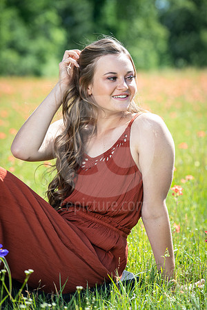 CNP_0809