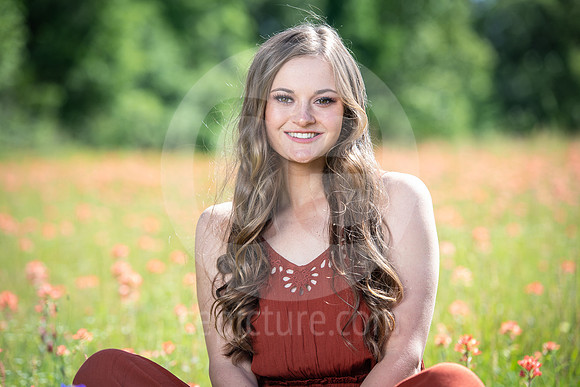 CNP_0815