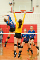 AG Volleyball vs Leonard