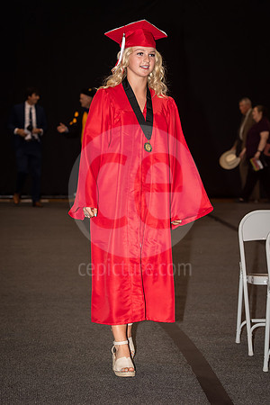 CNP_8497