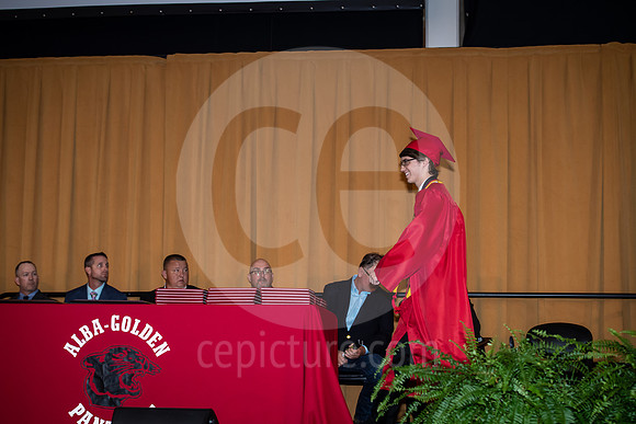 CNP_8526
