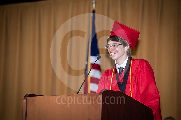 CNP_8528