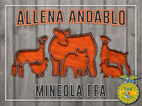 AllenaA
