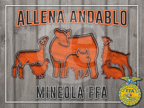 AllenaA