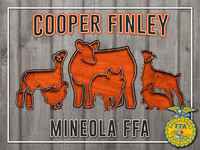 CooperF