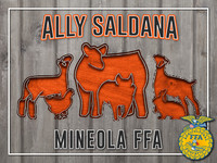 AllyS