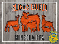 EdgarR
